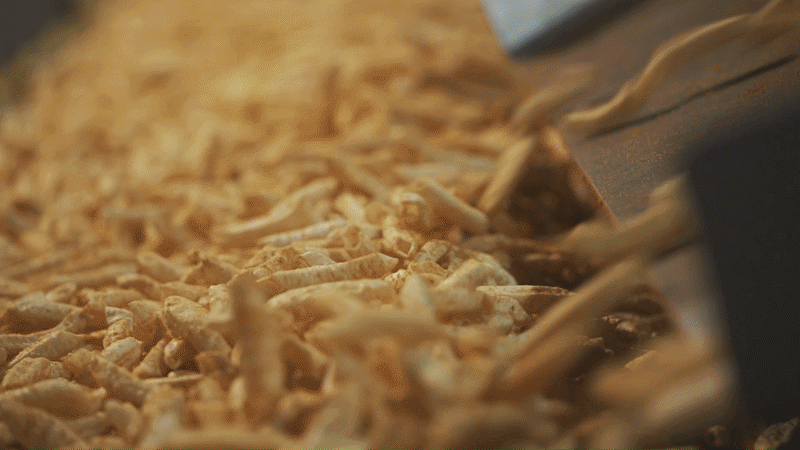 Freshly fried Haldiram's bhujia tumbling along the production line